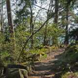 DSCF1421