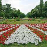 Bucurest 0608 2