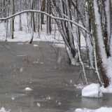 0308Winter