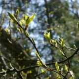 0408Spring