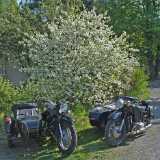 0508Spring