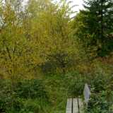 0908Autumn 2