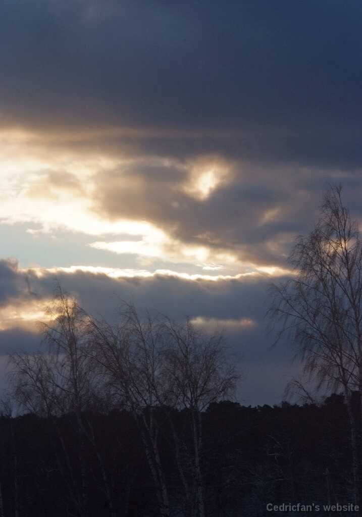 DSCF3701