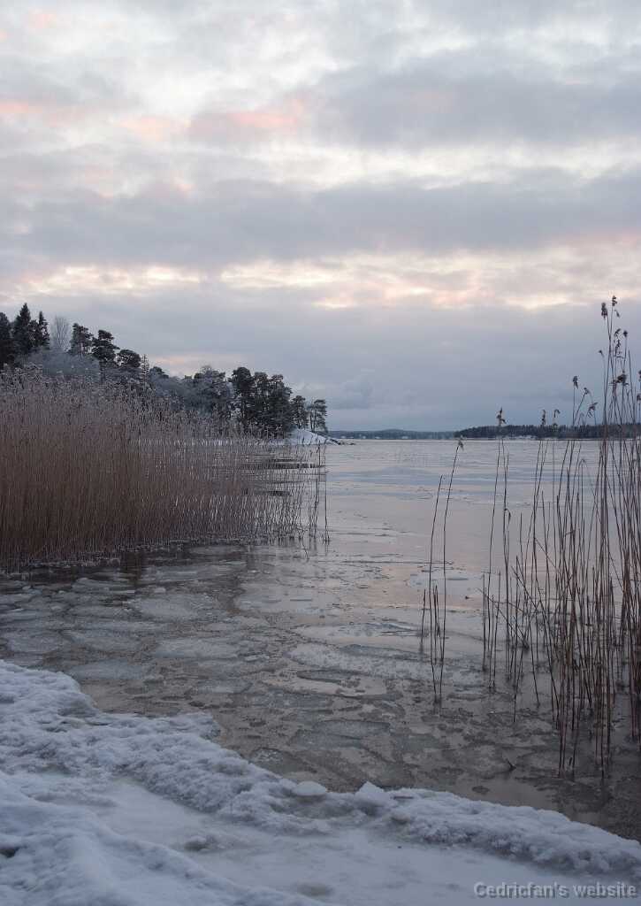 DSCF3617