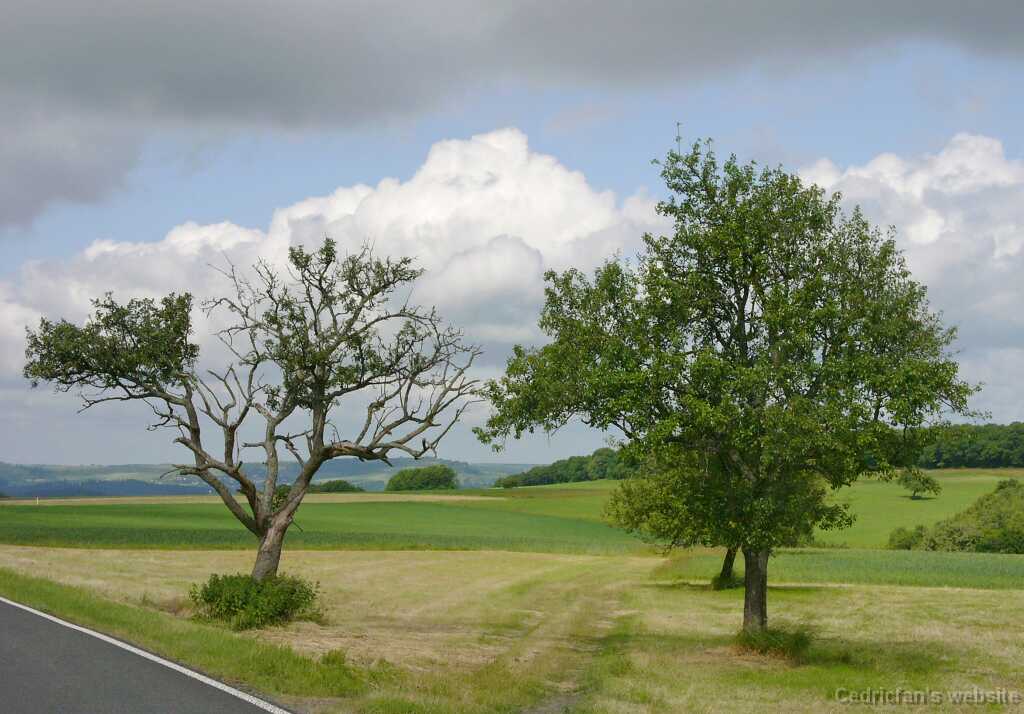 L1020651
