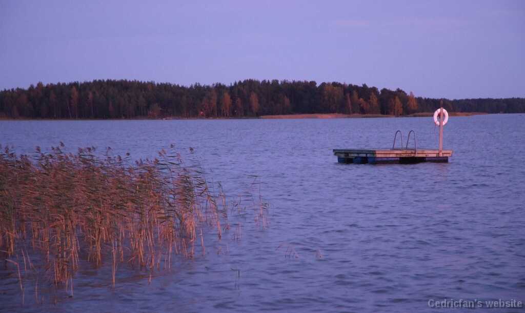 DSCF0346