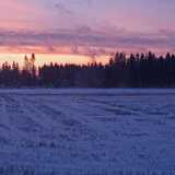 01 Jan Winter Mist
