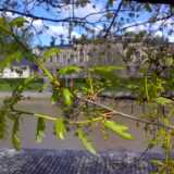 05 Summer almost