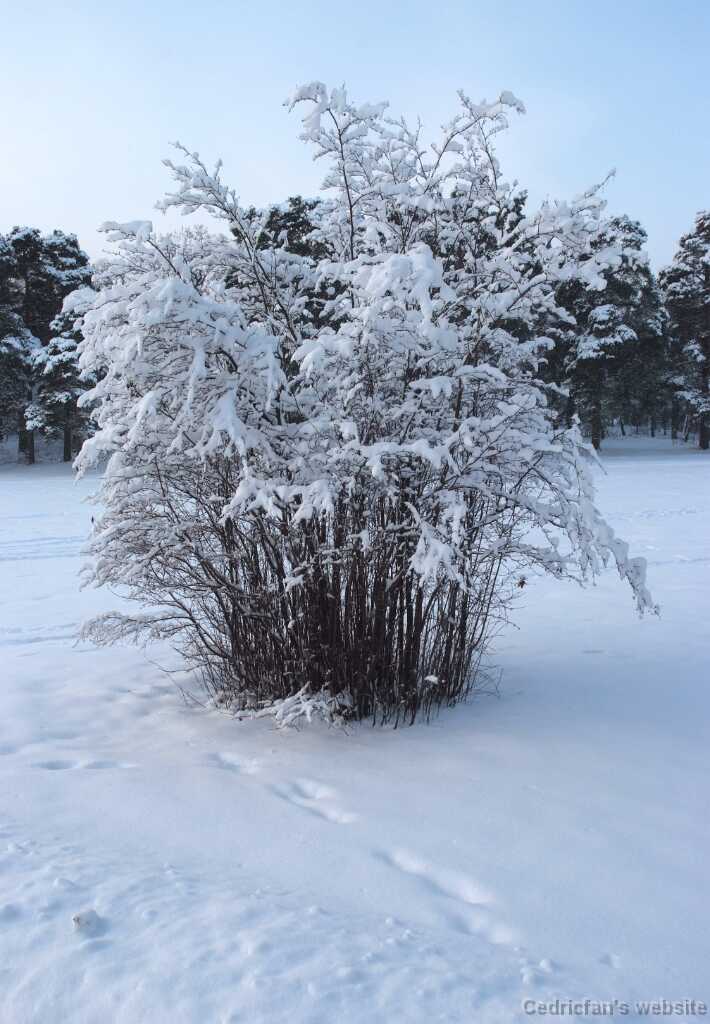 DSCF0659