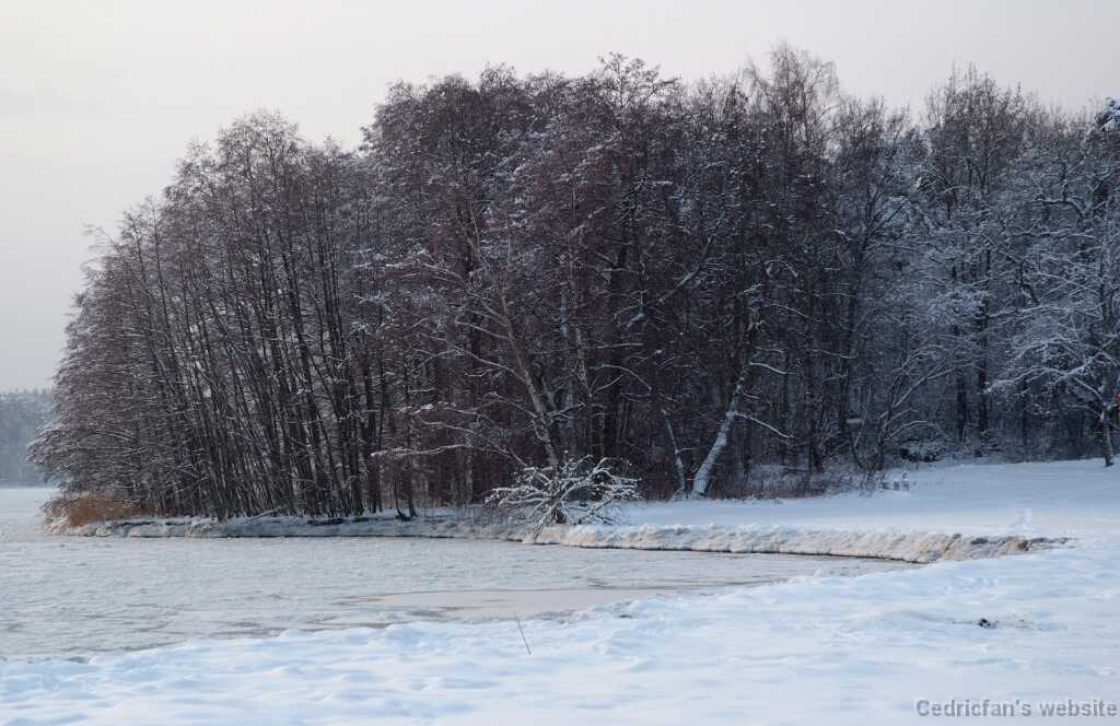 DSCF0675