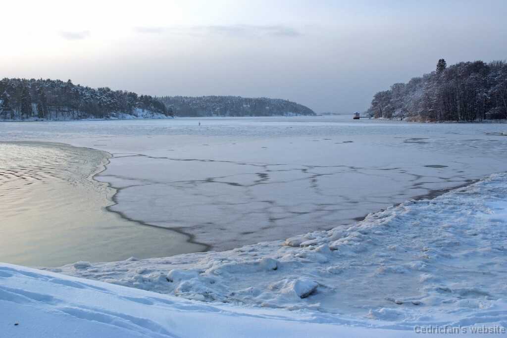 DSCF0685