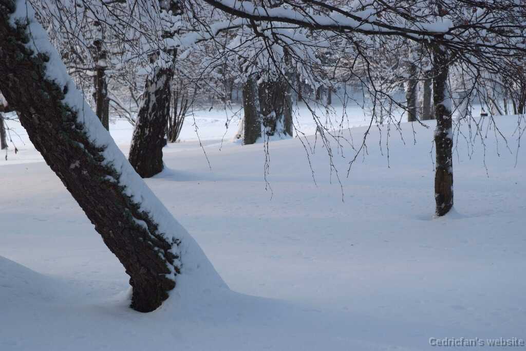 DSCF0692