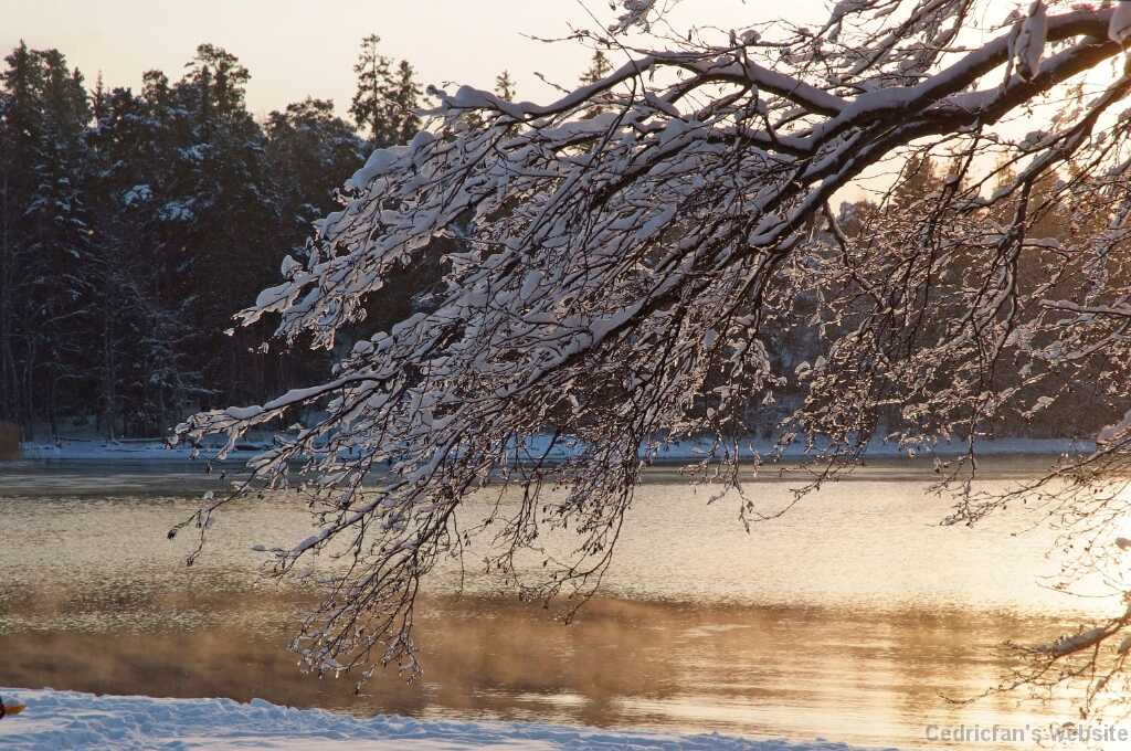 DSCF0700