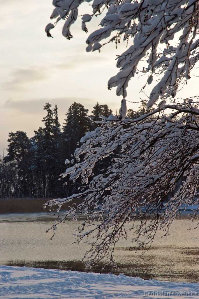 DSCF0701