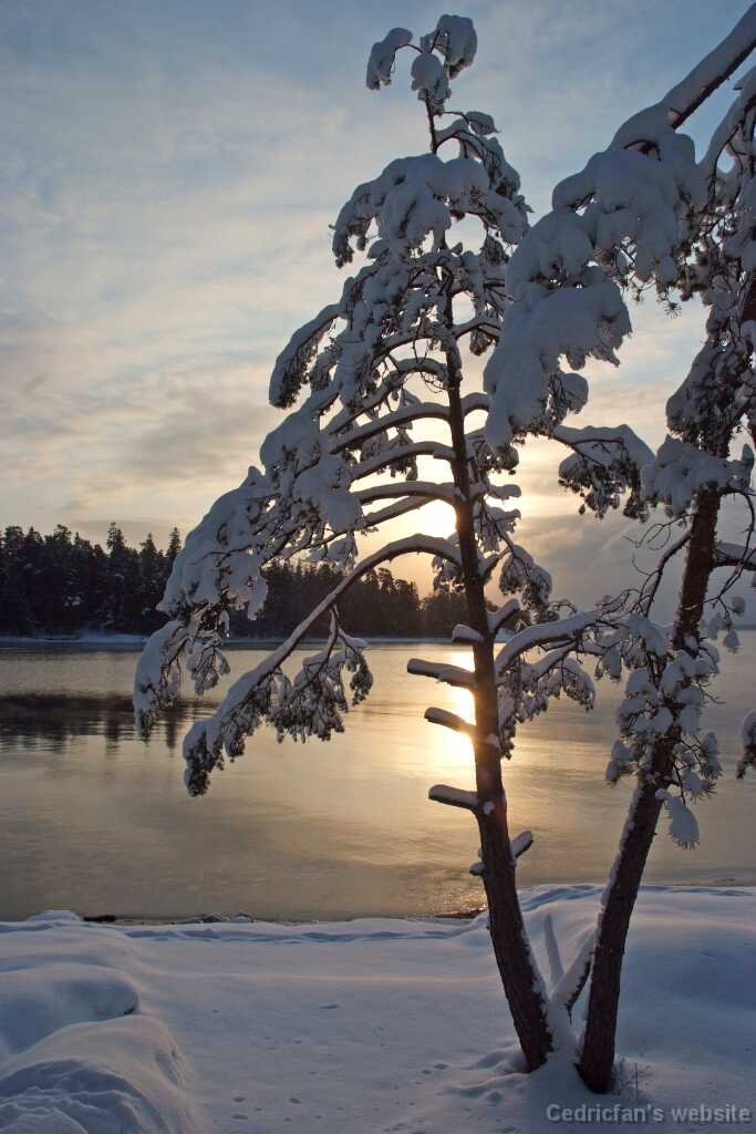 DSCF0711