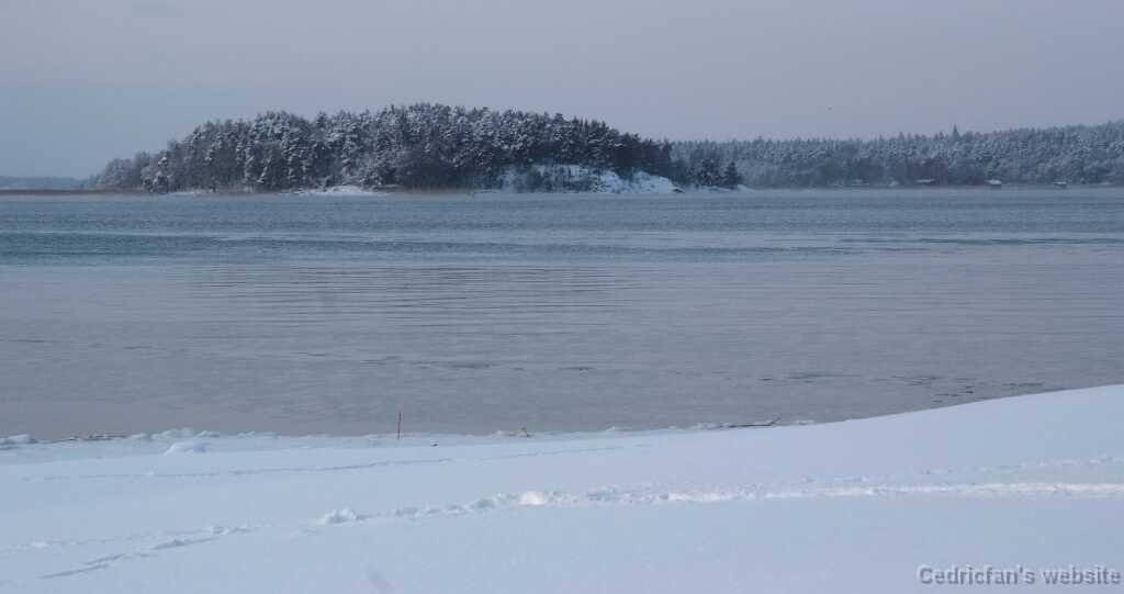 DSCF0725