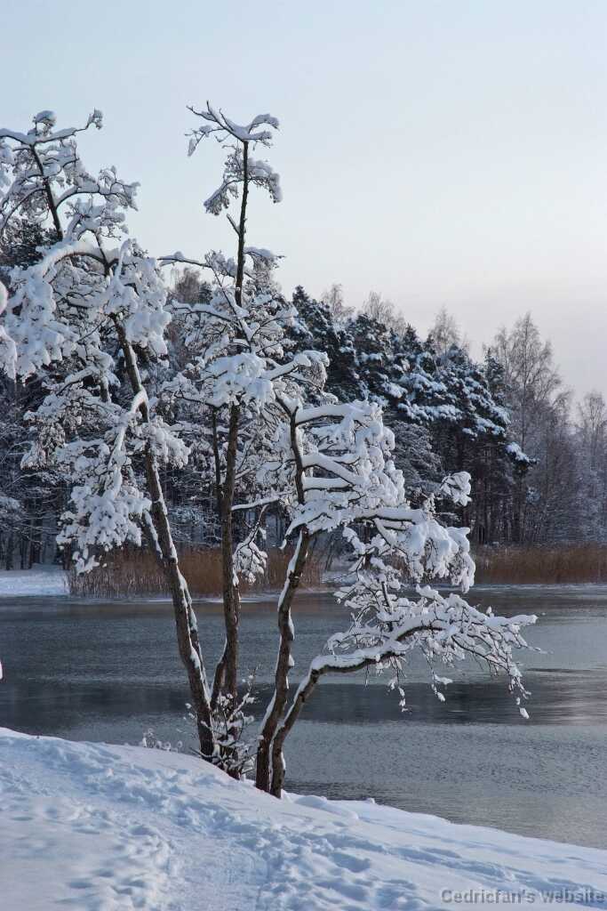 DSCF0734