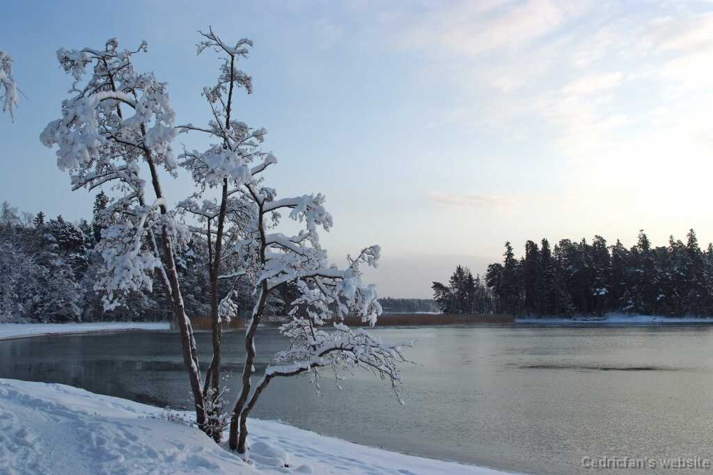 DSCF0735