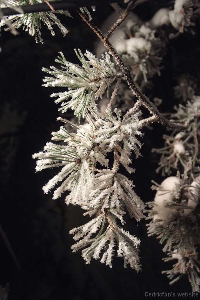 DSCF0756