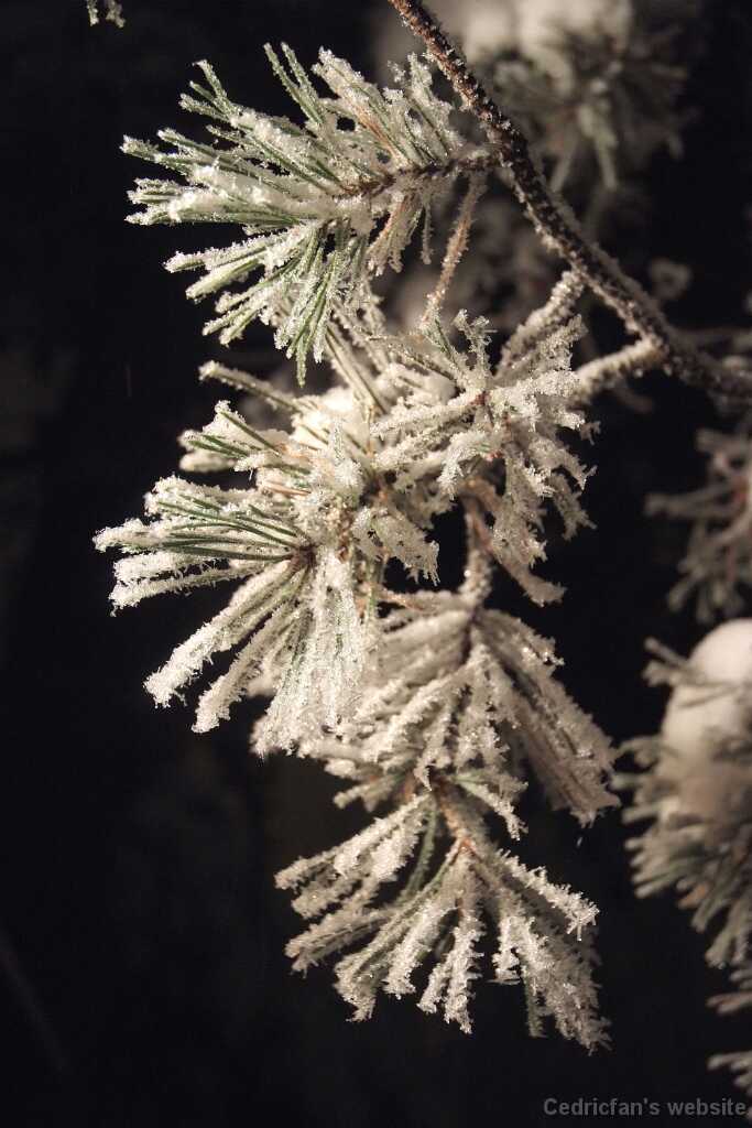 DSCF0760