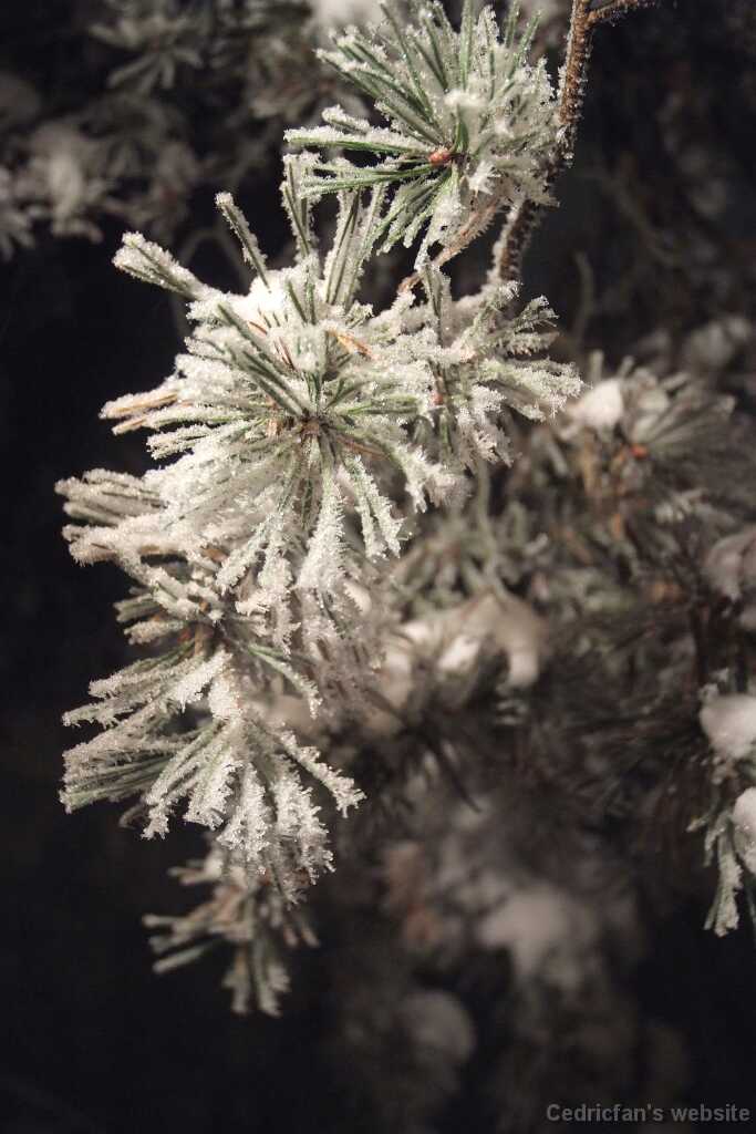 DSCF0769