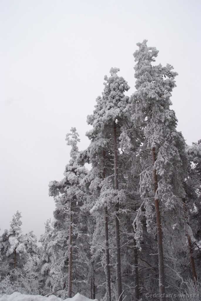 DSCF0787