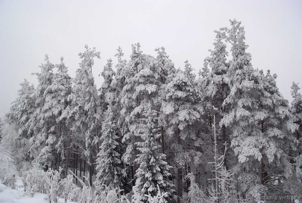 DSCF0788