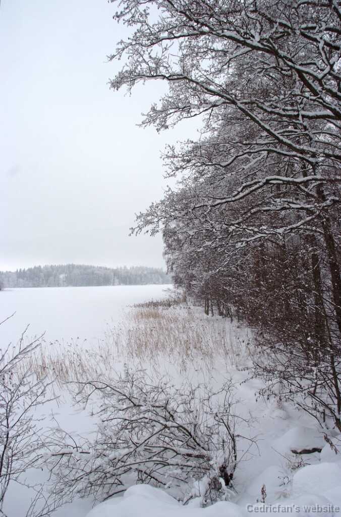 DSCF0789