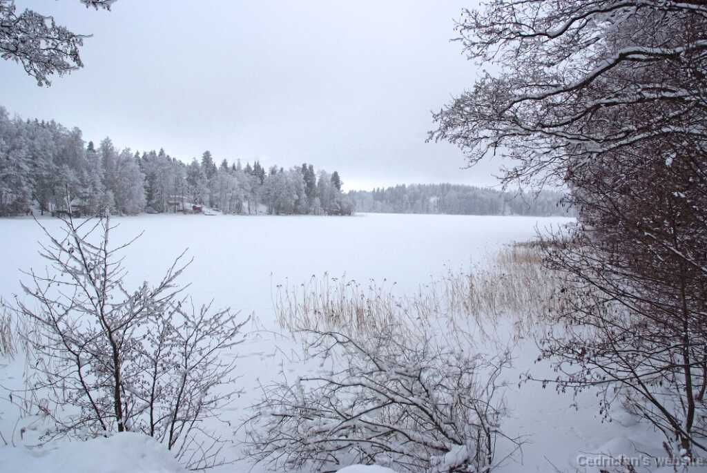 DSCF0790