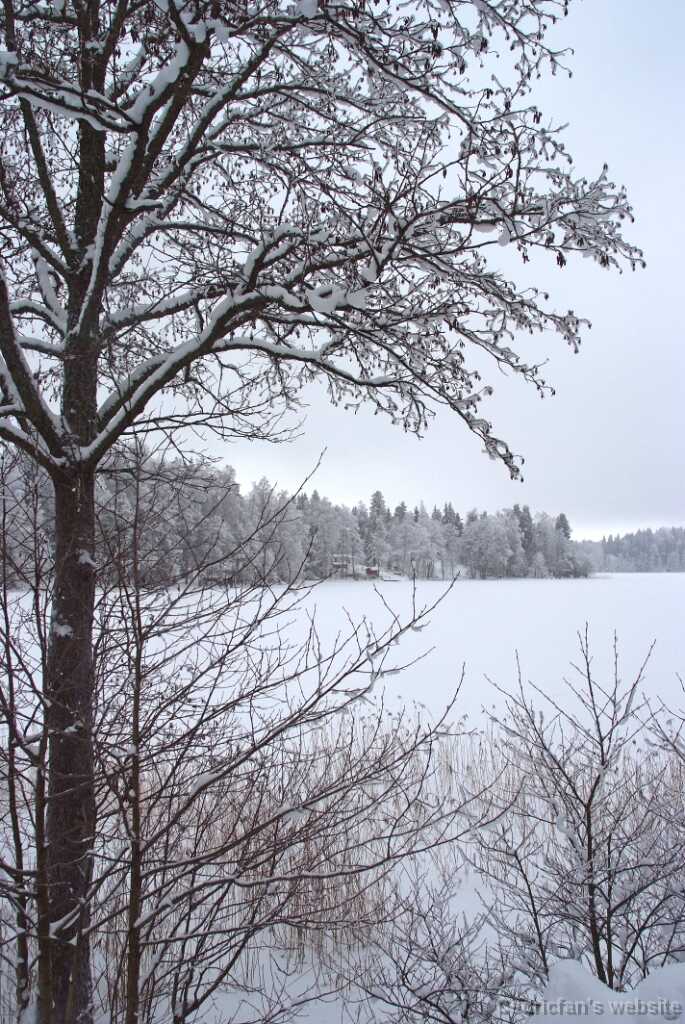 DSCF0808