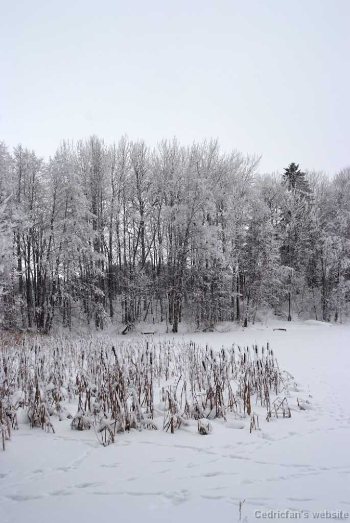 DSCF0842