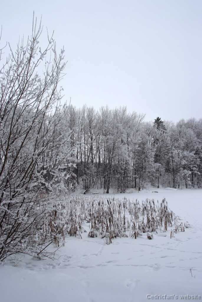 DSCF0845