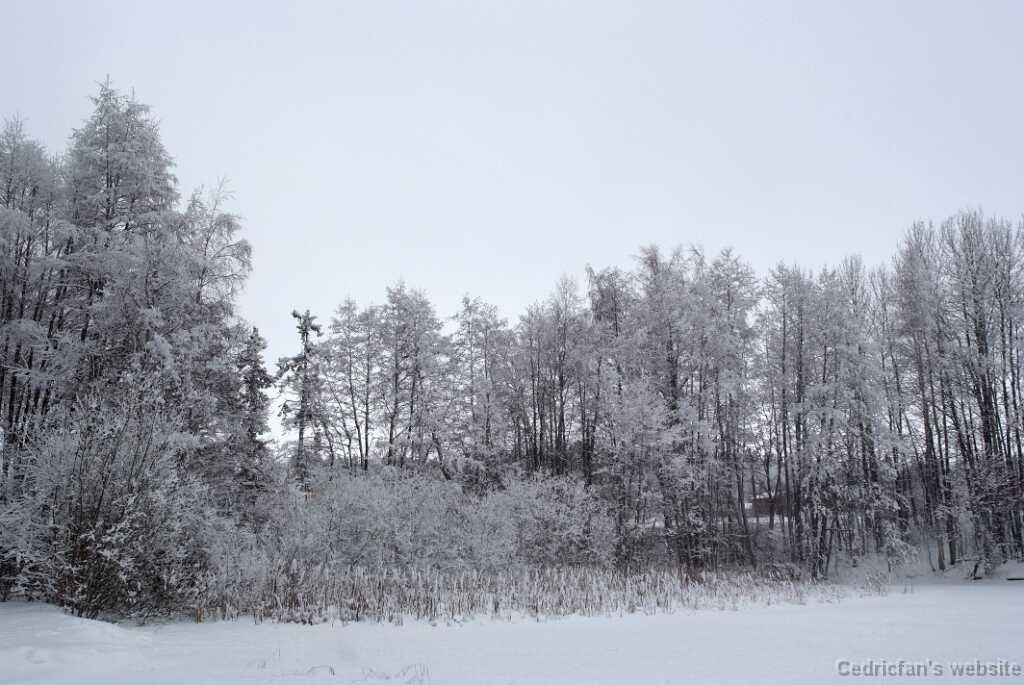 DSCF0849