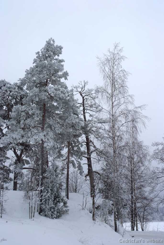 DSCF0855