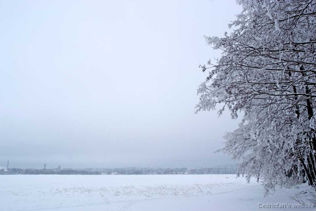 DSCF0858