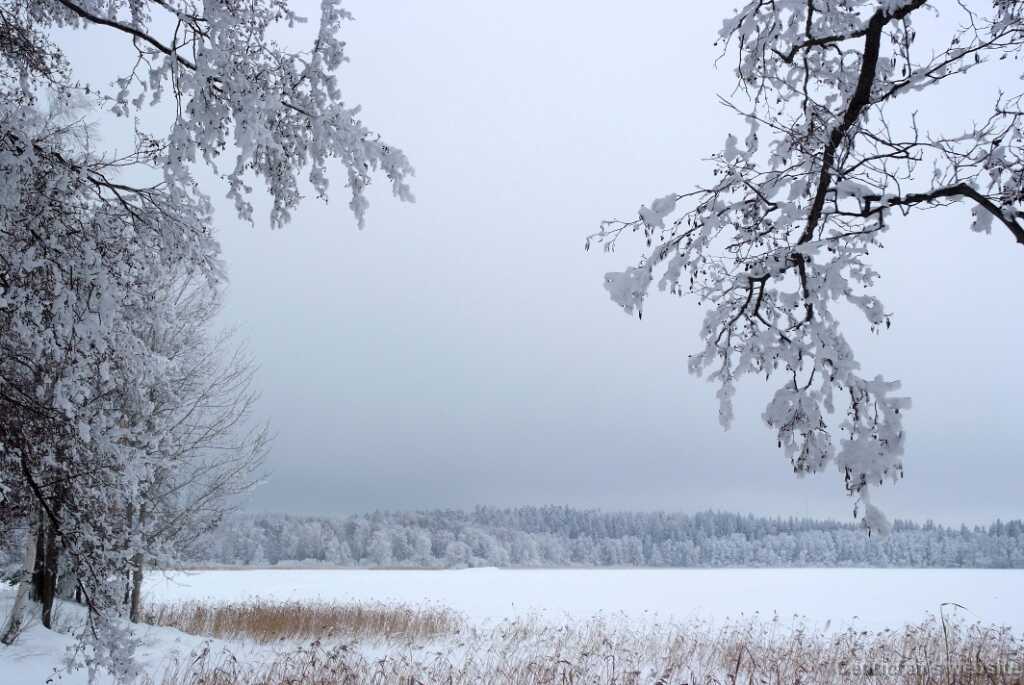 DSCF0862