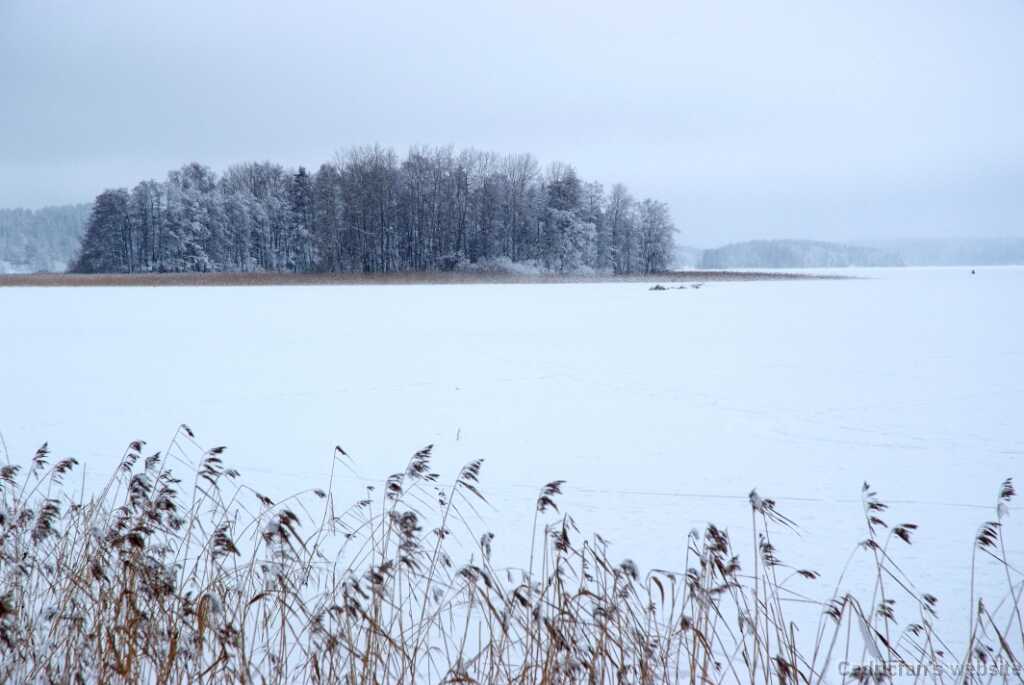 DSCF0863