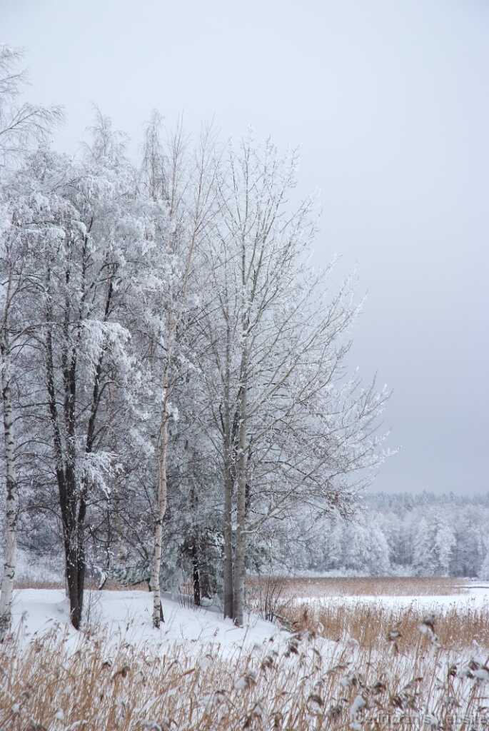 DSCF0866
