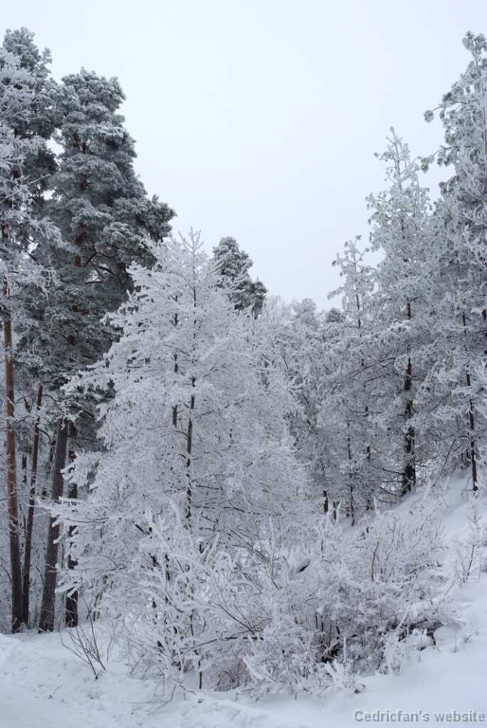 DSCF0869