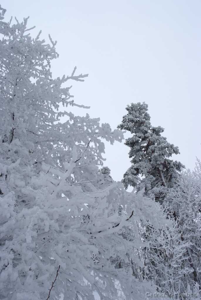 DSCF0870