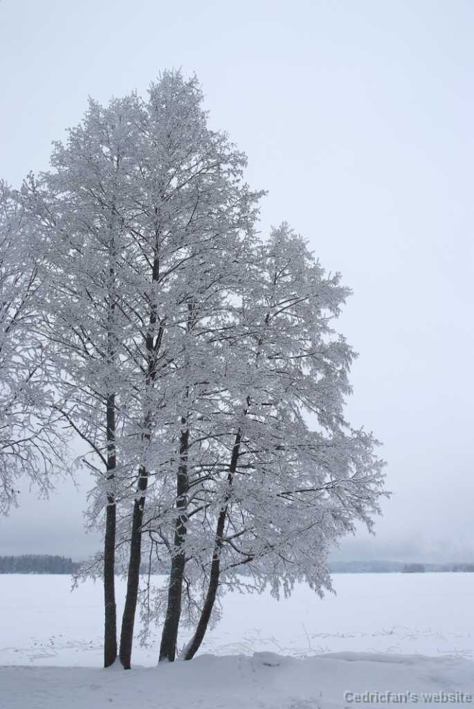 DSCF0871
