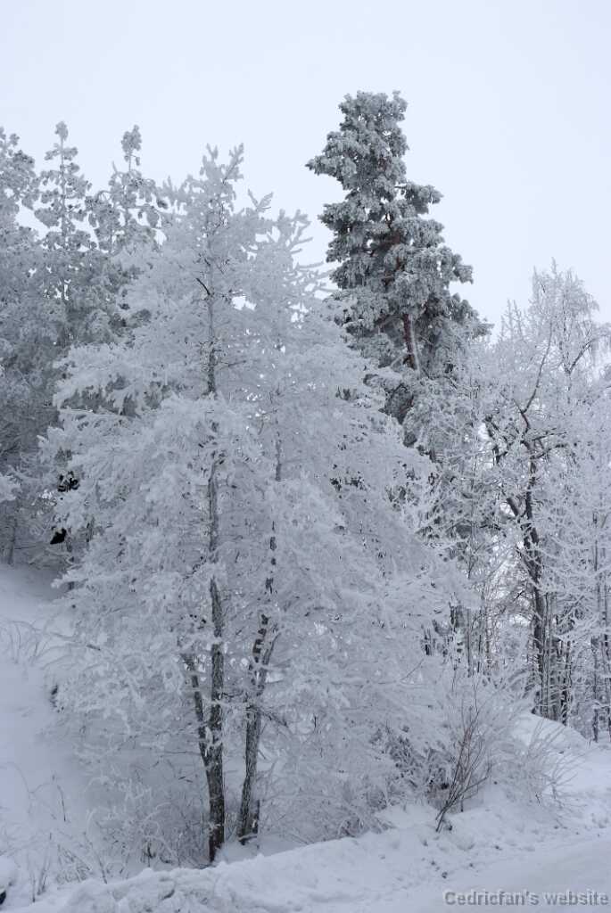 DSCF0874