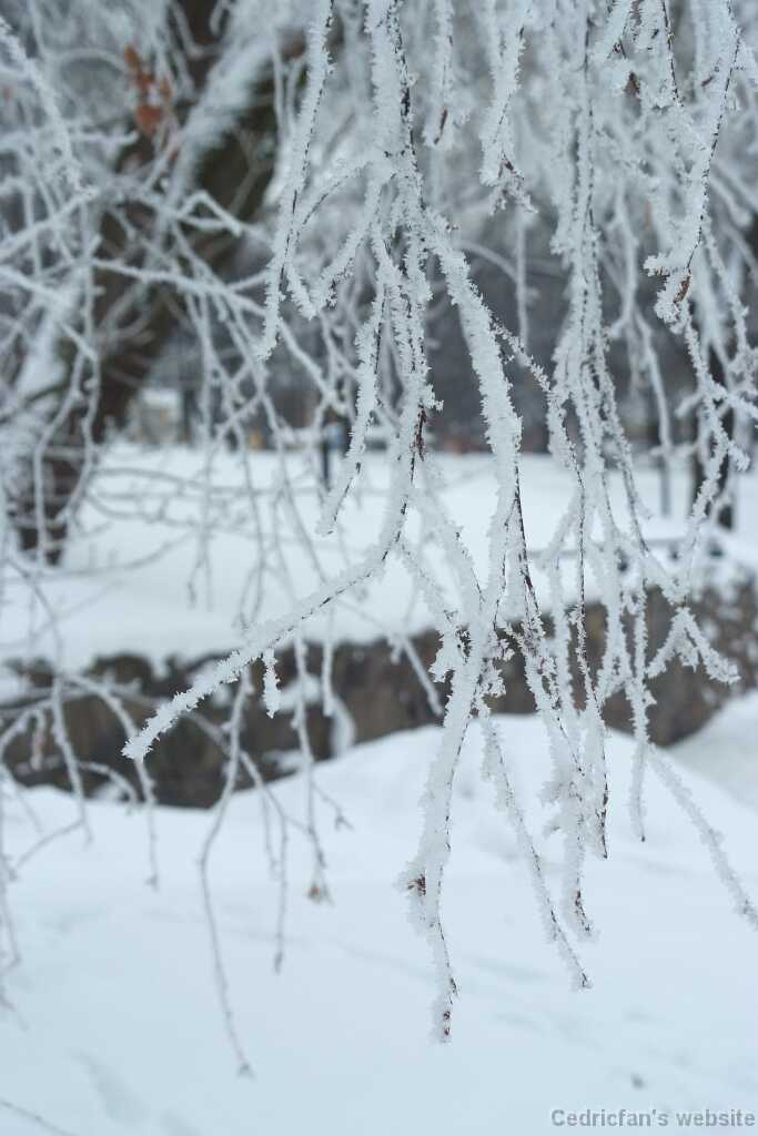 DSCF1139