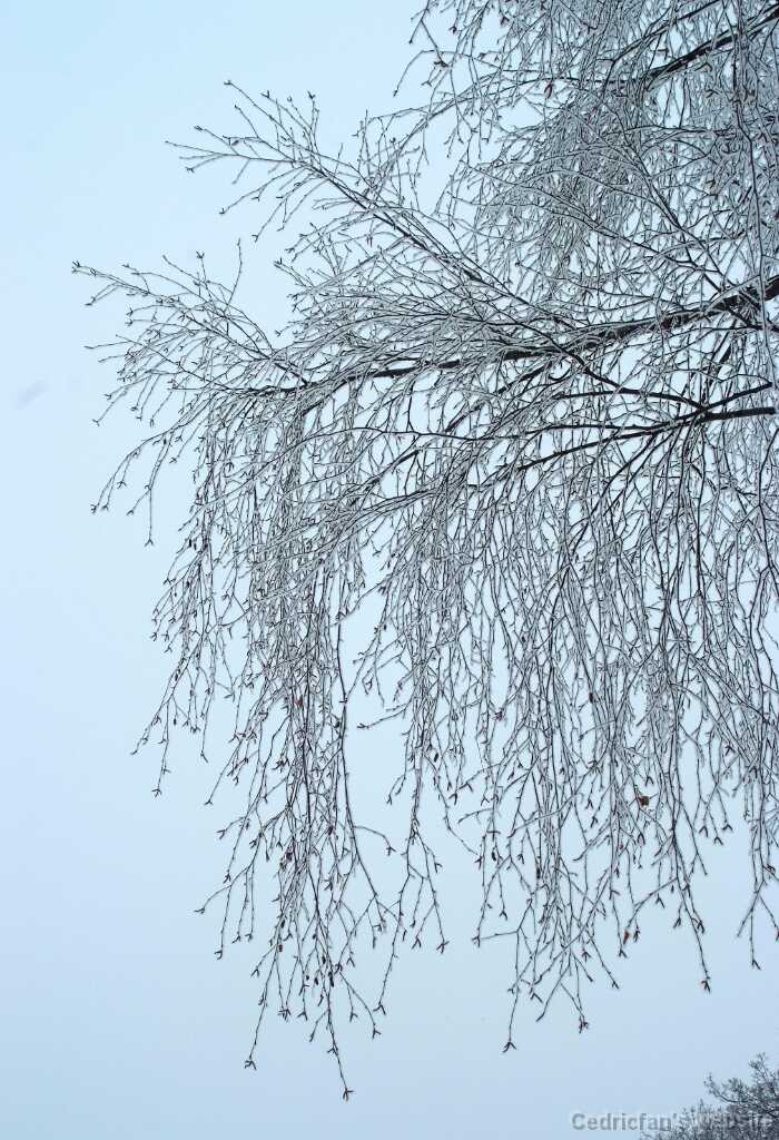 DSCF1142