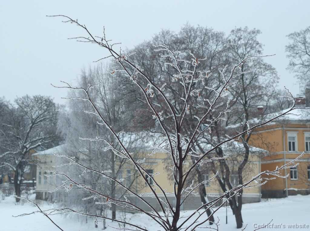 DSCF1153