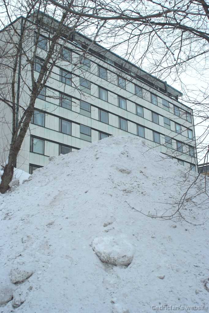 DSCF1154
