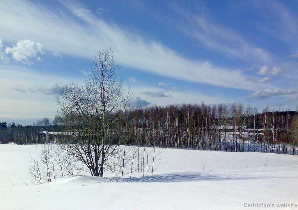 230320101322