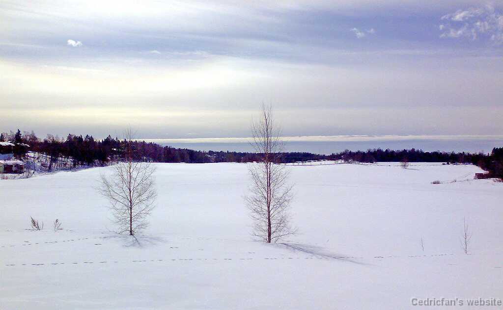 230320101323