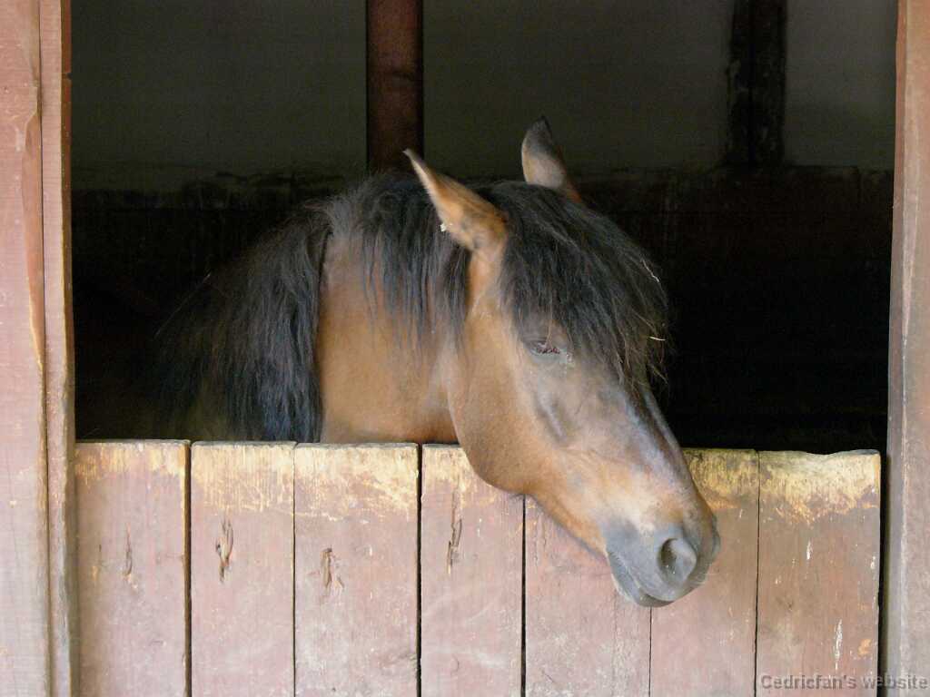 L1050160