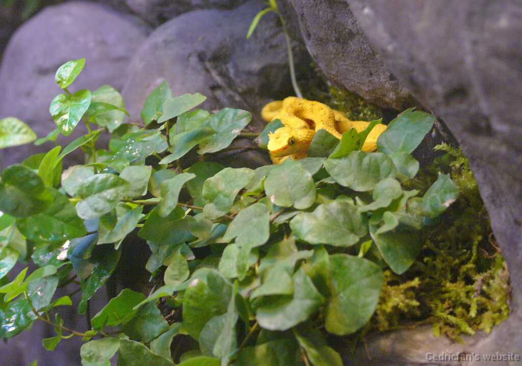 L1050202
